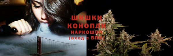 стаф Краснослободск
