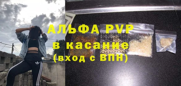 стаф Краснослободск